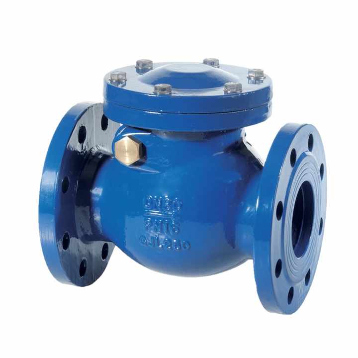 Carbon steel WCB Lift Flange  H41H Class150  Check Valve high Temperature for Water Gas Oil Media Applications